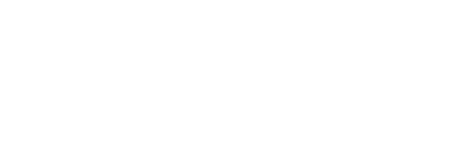 Holistika